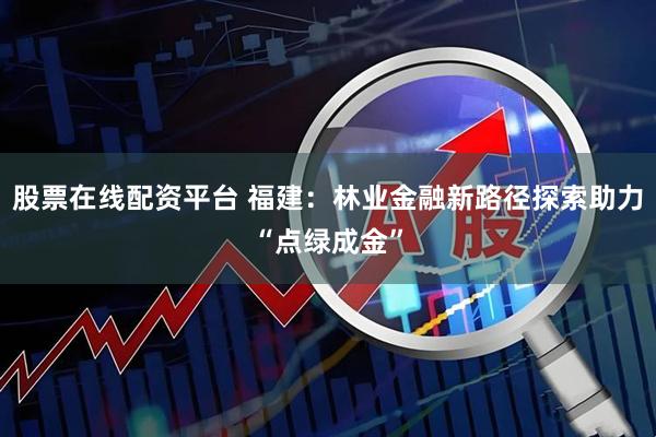 股票在线配资平台 福建：林业金融新路径探索助力“点绿成金”
